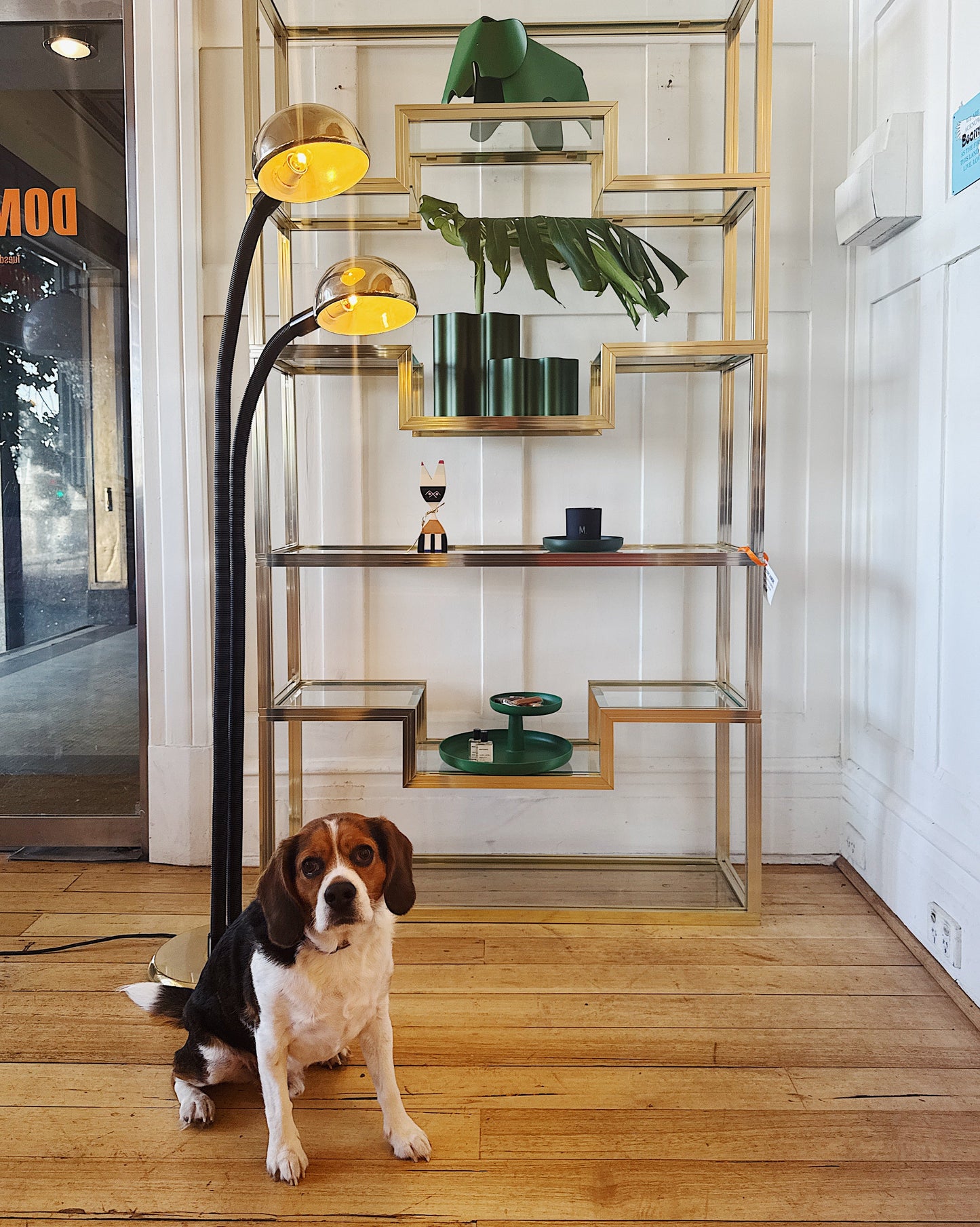 OSLO Aust. / 1970s Gold Gooseneck Floor Lamp