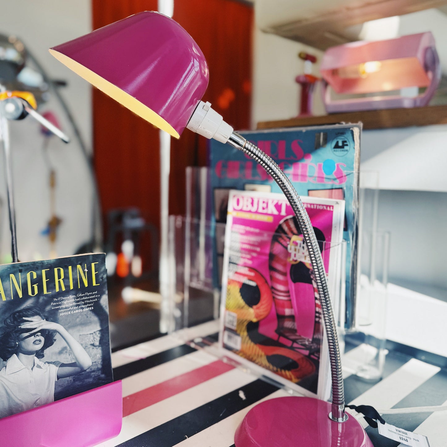 HELMET / Gooseneck Desk Lamp