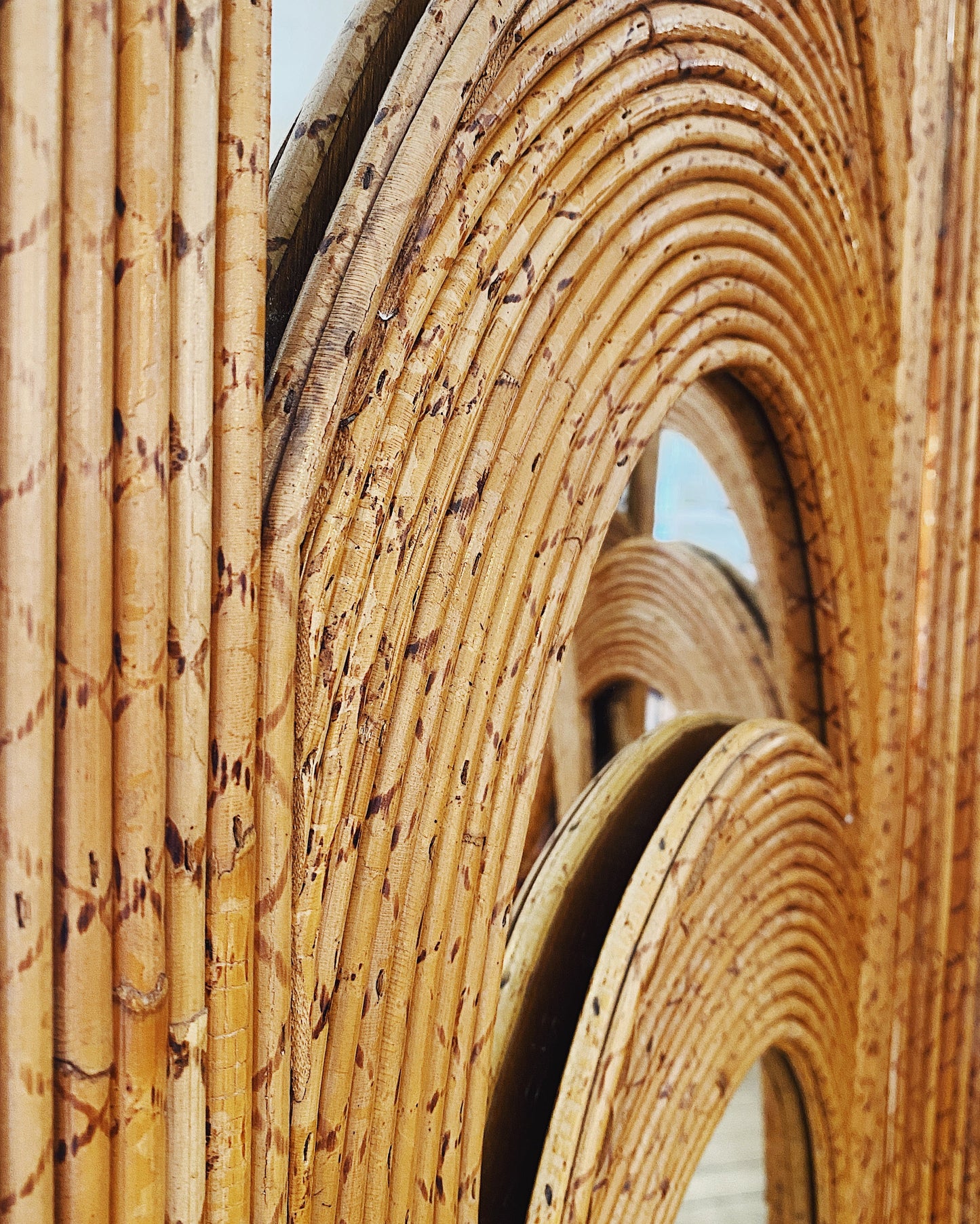 VIVAI DEL SUD / 1970s Bamboo Mirrored Screen