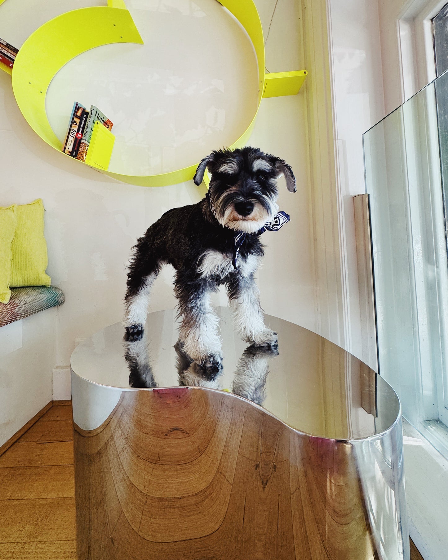 CROMO / Mirror Drum Coffee Table