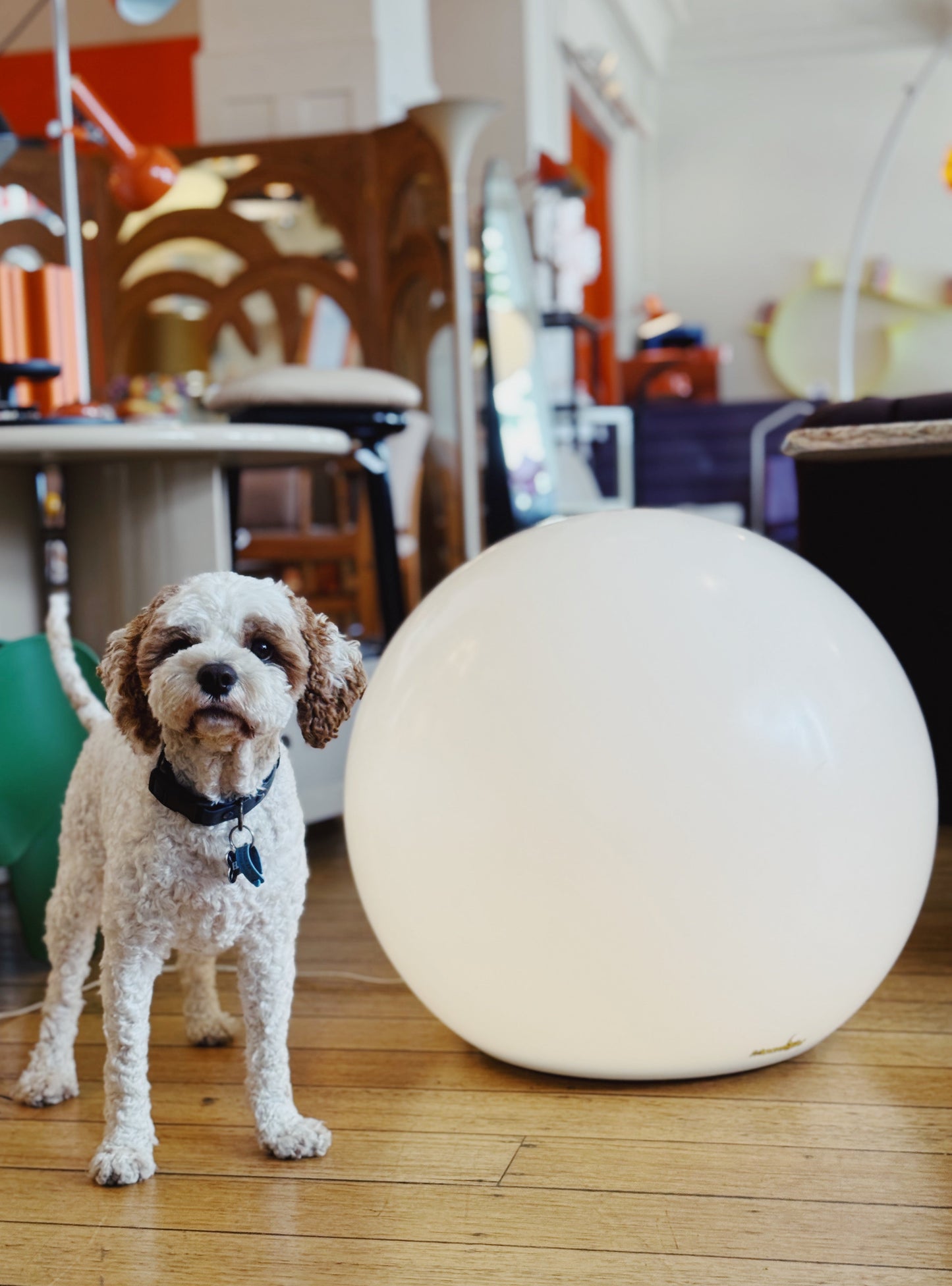 MOONLIGHT® TECHNOLOGY / Original Jumbo Acrylic Moon Lamp