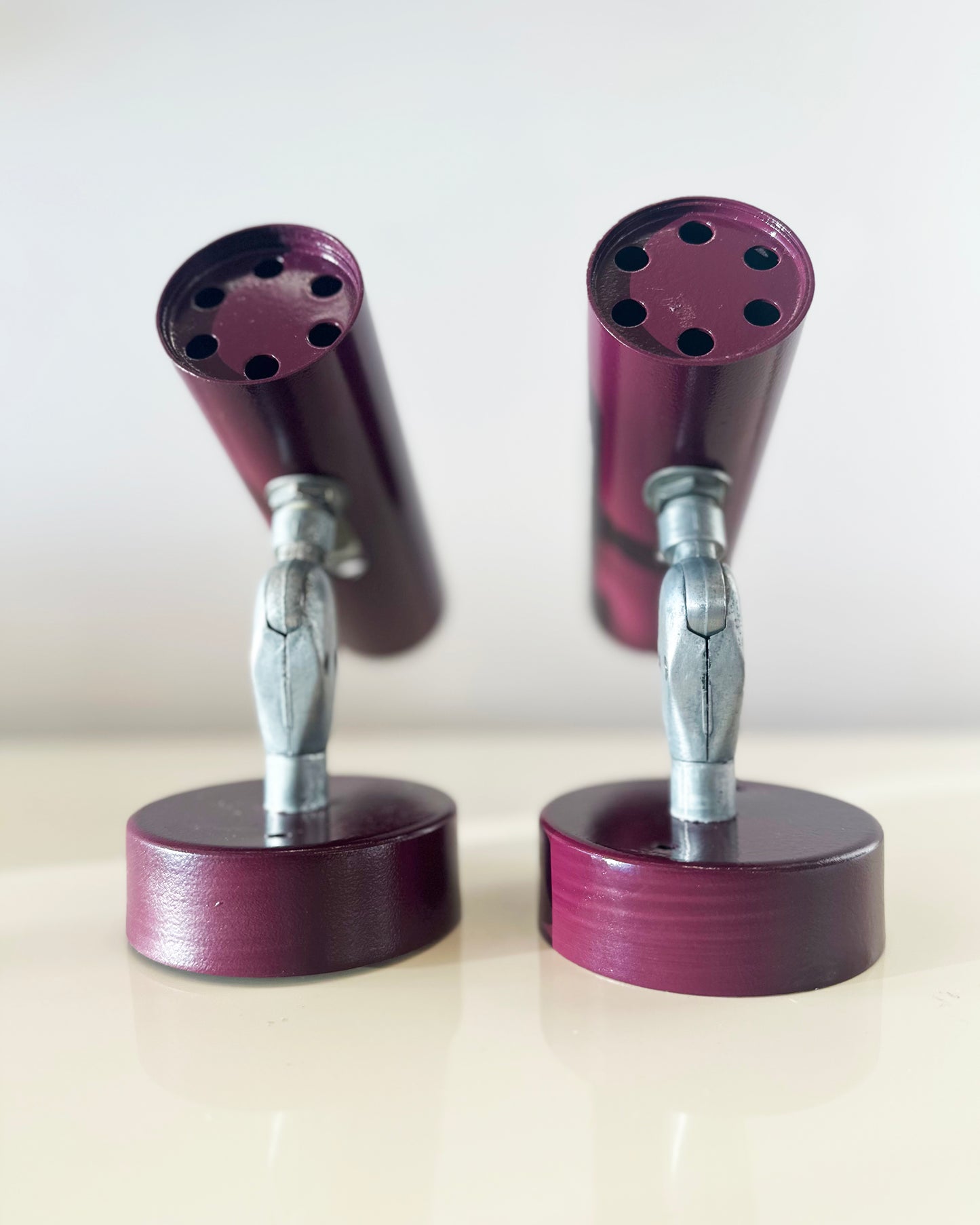 VINTAGE / Pair of Aubergine Spot Sconce Lights